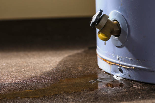 Best Water damage restoration near me  in Uniontown, AL