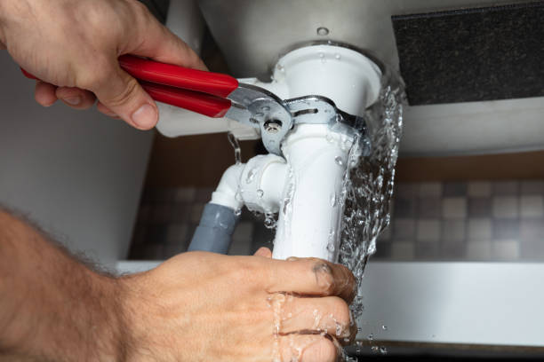 Best Mold removal after water damage  in Uniontown, AL