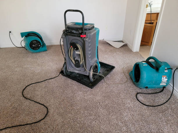Best Water damage restoration cost  in Uniontown, AL