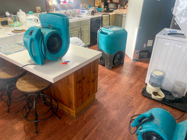  Uniontown, AL Water damage restoration Pros